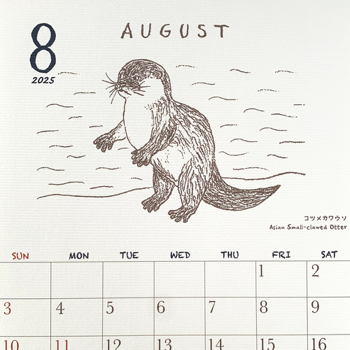 2025絶滅危惧種カレンダー 壁掛けタイプ（日曜始まりと月曜始まり選べ