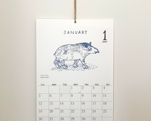 2025絶滅危惧種カレンダー 壁掛けタイプ（日曜始まりと月曜始まり選べ