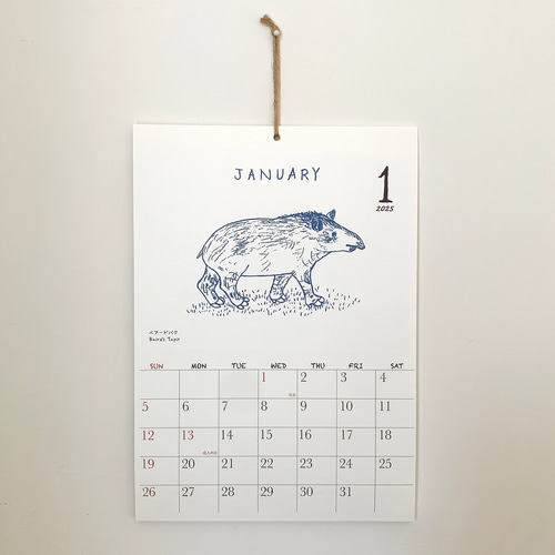 2025絶滅危惧種カレンダー 壁掛けタイプ（日曜始まりと月曜始まり選べ