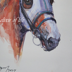 Racehorse 2024,2 (高級水彩画用紙３２ｃｍ×４１，５ｃｍ、水彩、アクリル） 3枚目の画像