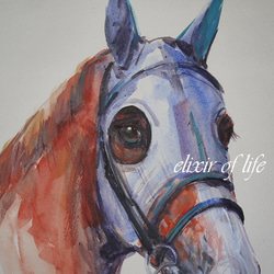 Racehorse 2024,2 (高級水彩画用紙３２ｃｍ×４１，５ｃｍ、水彩、アクリル） 2枚目の画像