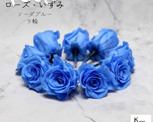 【値下げ】プリザーブドフラワー　花材　大地農園　ビビアン・ミミ・いずみ プリザーブドフラワー 花材 大地農園 ビビアン・ミミ・いずみ