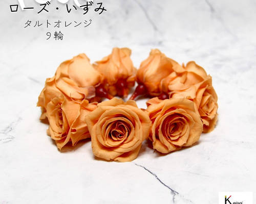 0db9db6aa327ee505fe383aef6c606
