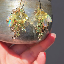 14kgf 天然石 フローライトのピアス【GSPi49】 ピアス（フック