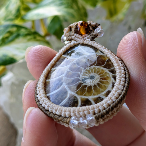 アンモナイト化石 マクラメネックレス マダガスカル産アンモナイト化石＆きらきらアゲートのマクラメ