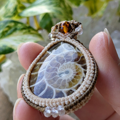 ☆アンモナイト(化石)☆マクラメ編みネックレス 230・マクラメ