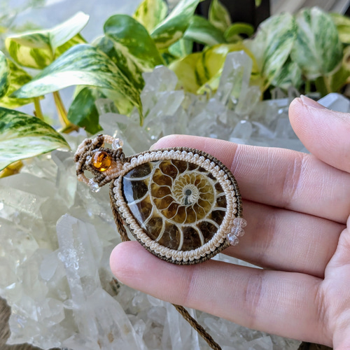 ☆アンモナイト(化石)☆マクラメ編みネックレス 230・マクラメ