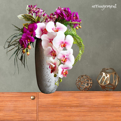 あーらん❣️在庫整理中オーダーページ 胡蝶蘭専門店【らんや】｜お祝い胡蝶蘭のギフトなら黒臼洋蘭園の通販で