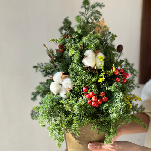 森の香りで迎えるクリスマス｜フレッシュ針葉樹のナチュラルツリー（高