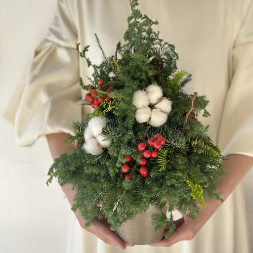 森の香りで迎えるクリスマス｜フレッシュ針葉樹のナチュラルツリー（高