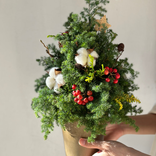 森の香りで迎えるクリスマス｜フレッシュ針葉樹のナチュラルツリー（高