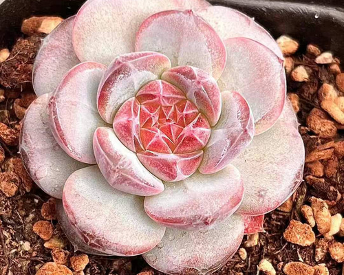 353a91777c8b6ef9abc0f87c763bbf