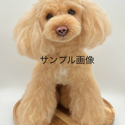 オーダー 羊毛フェルト のおすすめ人気通販｜Creema(クリーマ) 国内