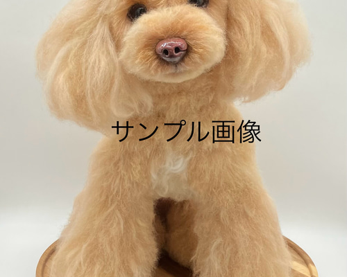 羊毛とプー】 ♦️プレミアムサイズ♦️ 羊毛フェルト オーダーメイド