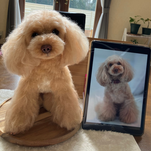 羊毛とプー】 ♦️プレミアムサイズ♦️ 羊毛フェルト オーダーメイド