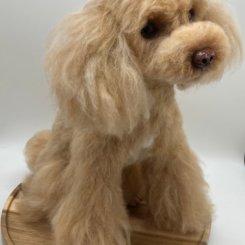 羊毛とプー】 ♦️プレミアムサイズ♦️ 羊毛フェルト オーダーメイド