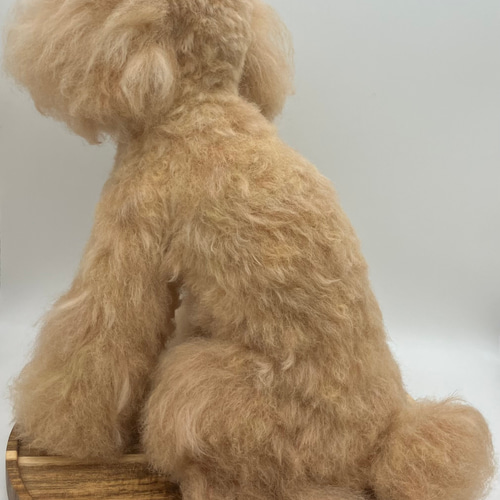 羊毛とプー】 ♦️プレミアムサイズ♦️ 羊毛フェルト オーダーメイド