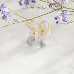 43be8072e36eae5b153d4f75317619