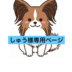 ☆羊毛フェルト☆【オーダーメイド】☆ハンドメイド☆リアル☆パピヨン