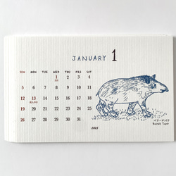 2025絶滅危惧種カレンダー　卓上タイプ　木製台座付き（日曜始まりと月曜始まり選べます♪） 4枚目の画像