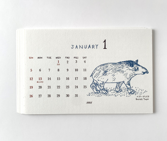 2025絶滅危惧種カレンダー　卓上タイプ　木製台座付き（日曜始まりと月曜始まり選べます♪） 4枚目の画像