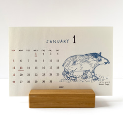 2025絶滅危惧種カレンダー　卓上タイプ　木製台座付き（日曜始まりと月曜始まり選べます♪） 1枚目の画像