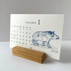 2025絶滅危惧種カレンダー　卓上タイプ　木製台座付き（日曜始まりと月曜始まり選べます♪） 3枚目の画像