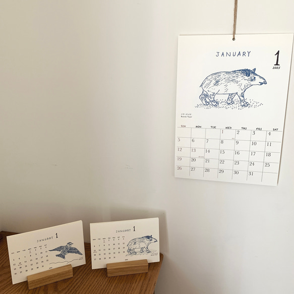 2025絶滅危惧種カレンダー　卓上タイプ　木製台座付き（日曜始まりと月曜始まり選べます♪） 10枚目の画像