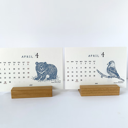 2025絶滅危惧種カレンダー　卓上タイプ　木製台座付き（日曜始まりと月曜始まり選べます♪） 9枚目の画像