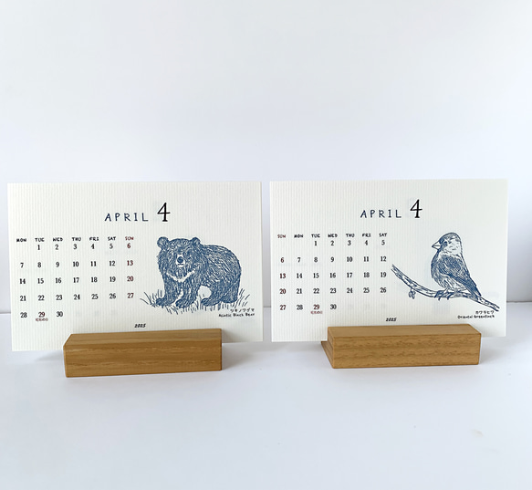 2025絶滅危惧種カレンダー　卓上タイプ　木製台座付き（日曜始まりと月曜始まり選べます♪） 9枚目の画像