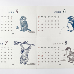 2025絶滅危惧種カレンダー　卓上タイプ　木製台座付き（日曜始まりと月曜始まり選べます♪） 7枚目の画像