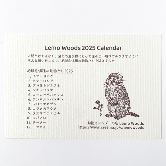 2025絶滅危惧種カレンダー　卓上タイプ　木製台座付き（日曜始まりと月曜始まり選べます♪） 12枚目の画像