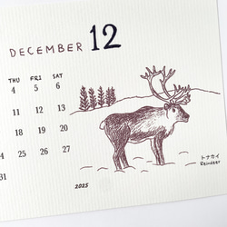 2025絶滅危惧種カレンダー　卓上タイプ　木製台座付き（日曜始まりと月曜始まり選べます♪） 5枚目の画像