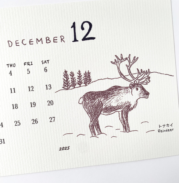 2025絶滅危惧種カレンダー　卓上タイプ　木製台座付き（日曜始まりと月曜始まり選べます♪） 5枚目の画像