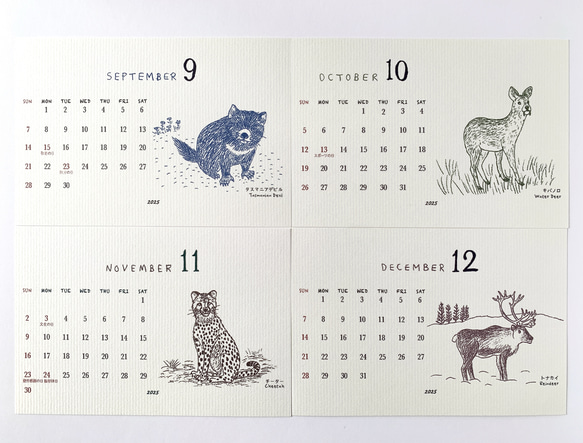 2025絶滅危惧種カレンダー　卓上タイプ　木製台座付き（日曜始まりと月曜始まり選べます♪） 8枚目の画像