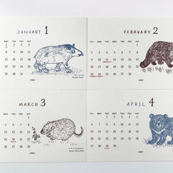 2025絶滅危惧種カレンダー　卓上タイプ　木製台座付き（日曜始まりと月曜始まり選べます♪） 6枚目の画像