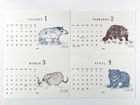 2025絶滅危惧種カレンダー　卓上タイプ　木製台座付き（日曜始まりと月曜始まり選べます♪） 6枚目の画像