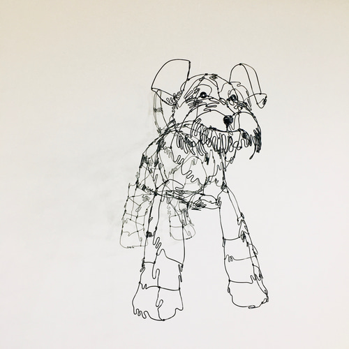 ワイヤーアート ワイヤークラフト 犬 ミニチュアシュナウザー
