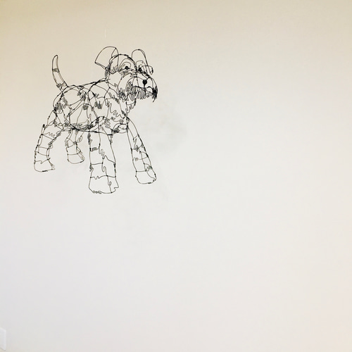 こっちを見てるミニチュアシュナウザーのワイヤーアート こっちを見てるミニチュアシュナウザーのワイヤーアート