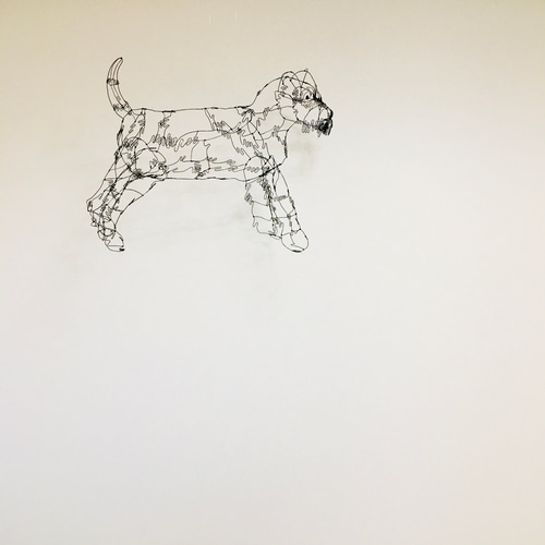 こっちを見てるミニチュアシュナウザーのワイヤーアート こっちを見てるミニチュアシュナウザーのワイヤーアート