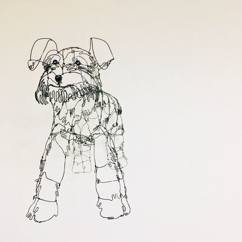 こっちを見てるミニチュアシュナウザーのワイヤーアート シュナウザーのワイヤーアート タペストリー・壁掛け