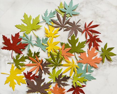 クラフトパンチ ダイカット 葉 リーフ 大きめ色々セット 秋 紅葉