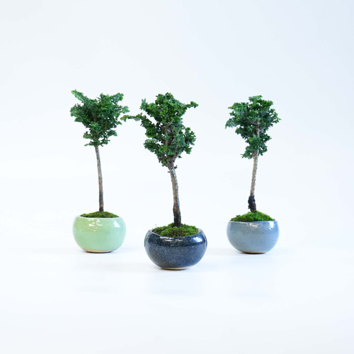 1428 盆栽　盆栽鉢　植木鉢　景石 1428 盆栽 盆栽鉢 植木鉢 景石Ω