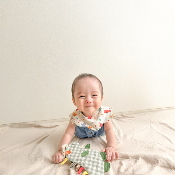 【12月24日販売終了】恐竜さんギフトセット 7枚目の画像