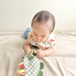 【12月24日販売終了】恐竜さんギフトセット 8枚目の画像