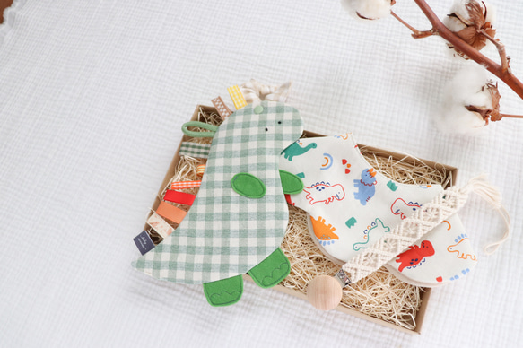 【12月24日販売終了】恐竜さんギフトセット 4枚目の画像