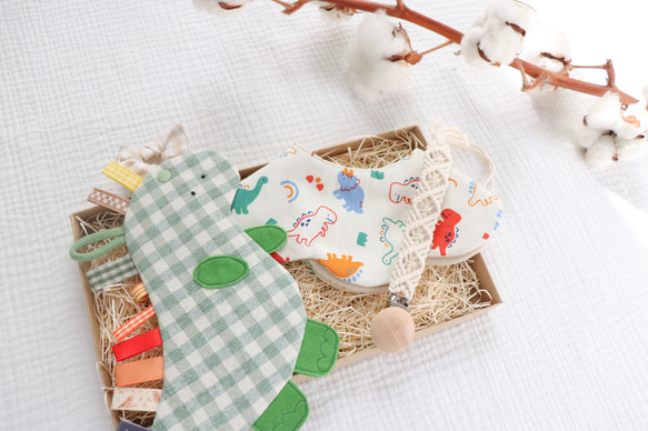 【12月24日販売終了】恐竜さんギフトセット 3枚目の画像