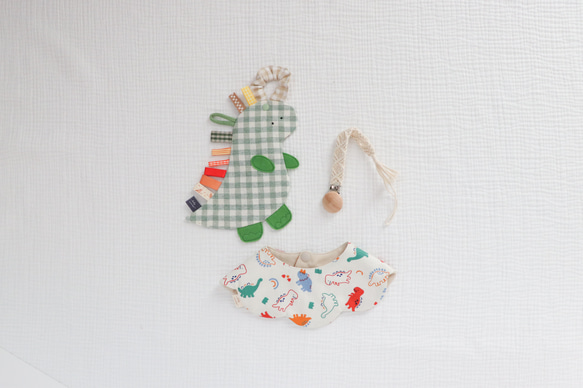 【12月24日販売終了】恐竜さんギフトセット 5枚目の画像