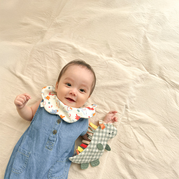 【12月24日販売終了】恐竜さんギフトセット 6枚目の画像