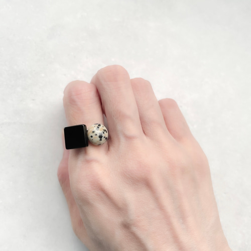 ダルメシアン 新年の幕開けを祝うレッドカラー、そして「虎嘯」「龍吟」の文字